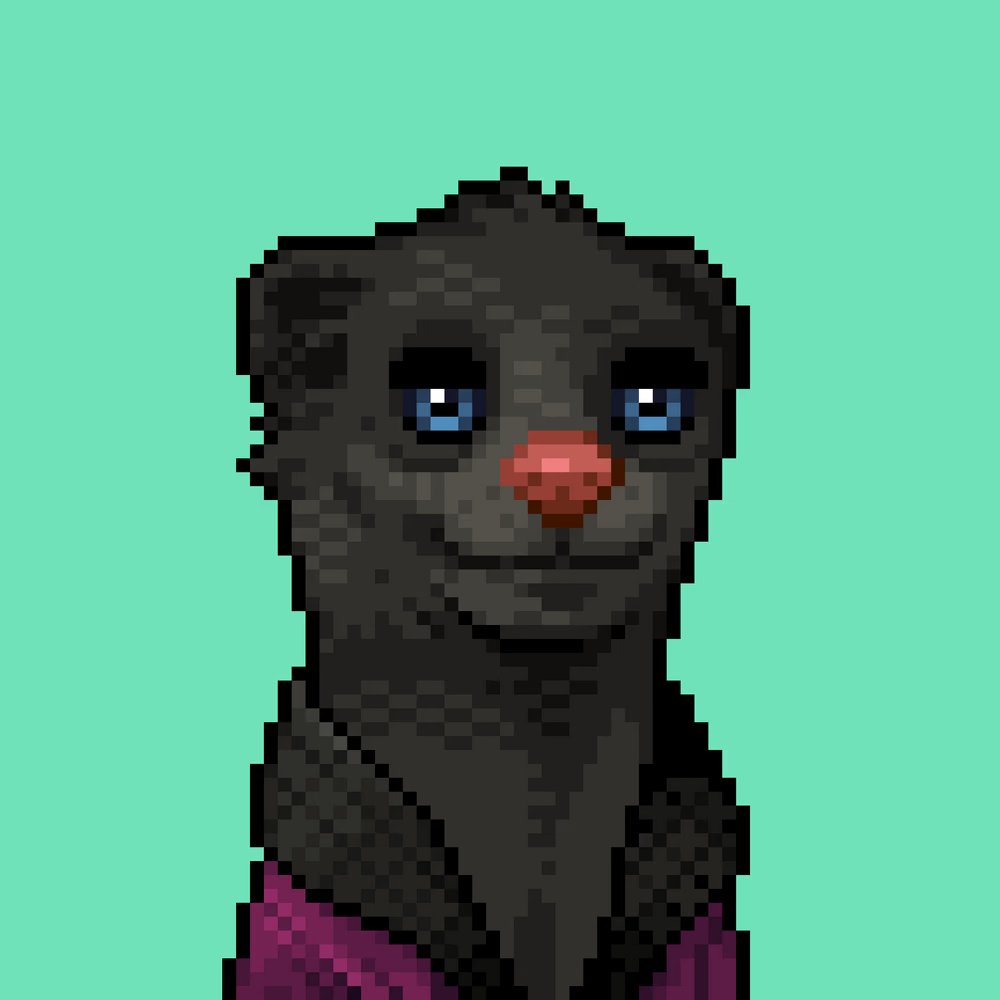 MONG COIN tweet media