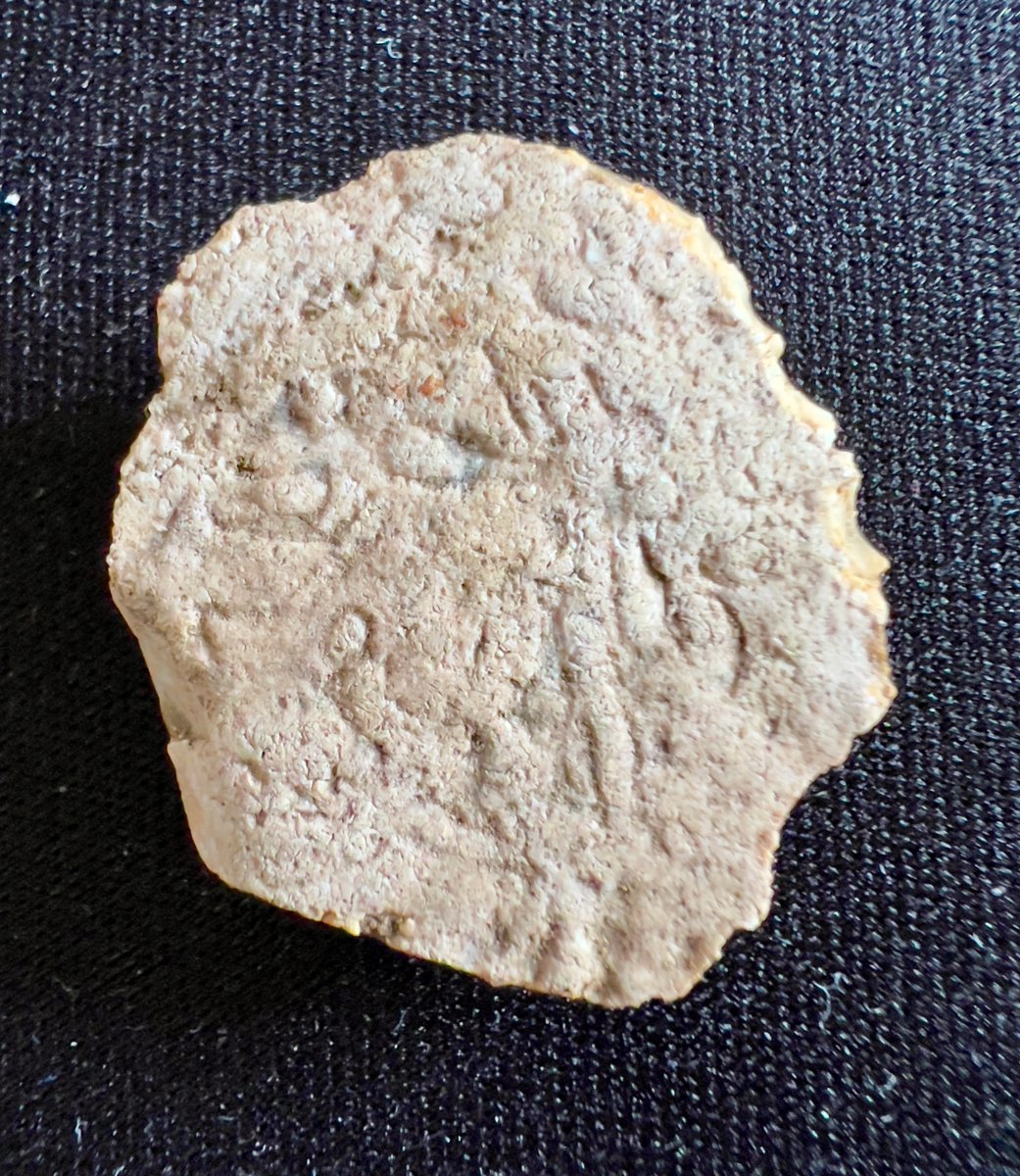 ptyarrow's tweet photo. @DorsetMuseum I found this piece of flint stone yesterday, about an inch across, that appears to have carvings on it. Do you know how I can find out if it's anything interesting? It was on the ground next to an old roman road. https://t.co/aLsQmAt5cw