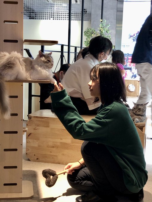 Twitterのコスプレ画像8