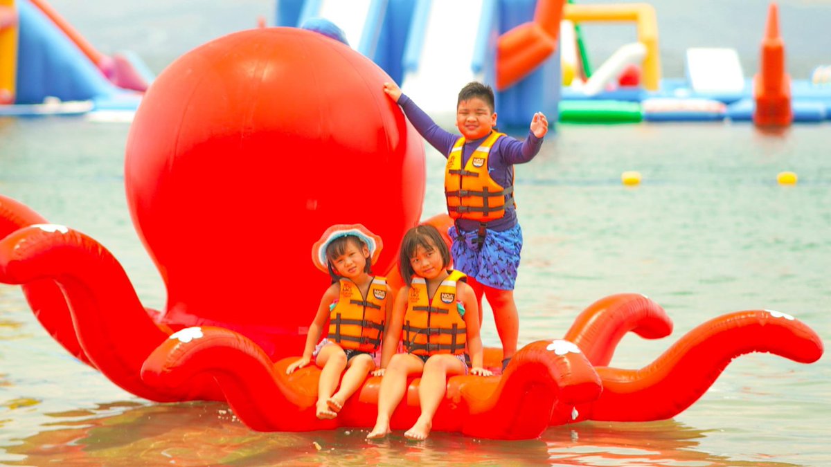 inflatableislnd's tweet photo. Baby Kraken 🤝🏻 Baby Humans

@OctoHedz https://t.co/mLtl46OnxQ