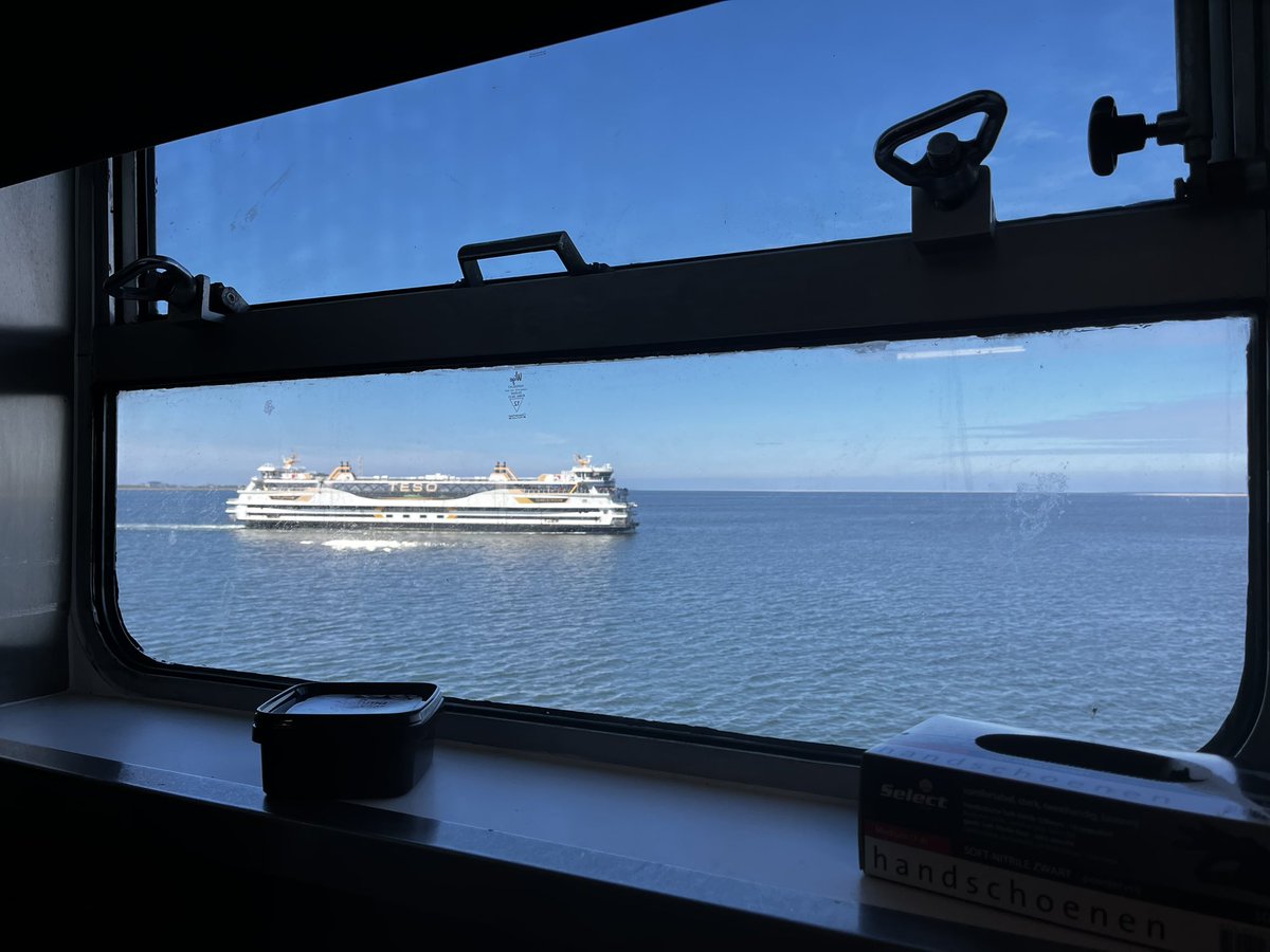 rob_jongejan's tweet image. Mooi glad zeetje vandaag! #Teso #Wagemaker #Texelstroom