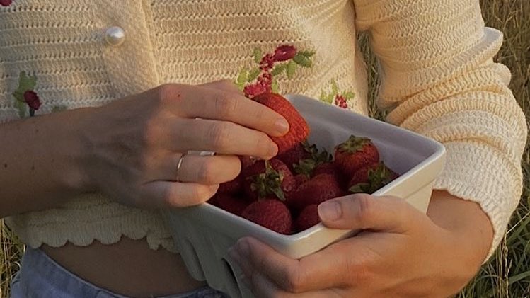malusokay's tweet photo. Strawberry picking 🍓 https://t.co/kaqgMigo8b
