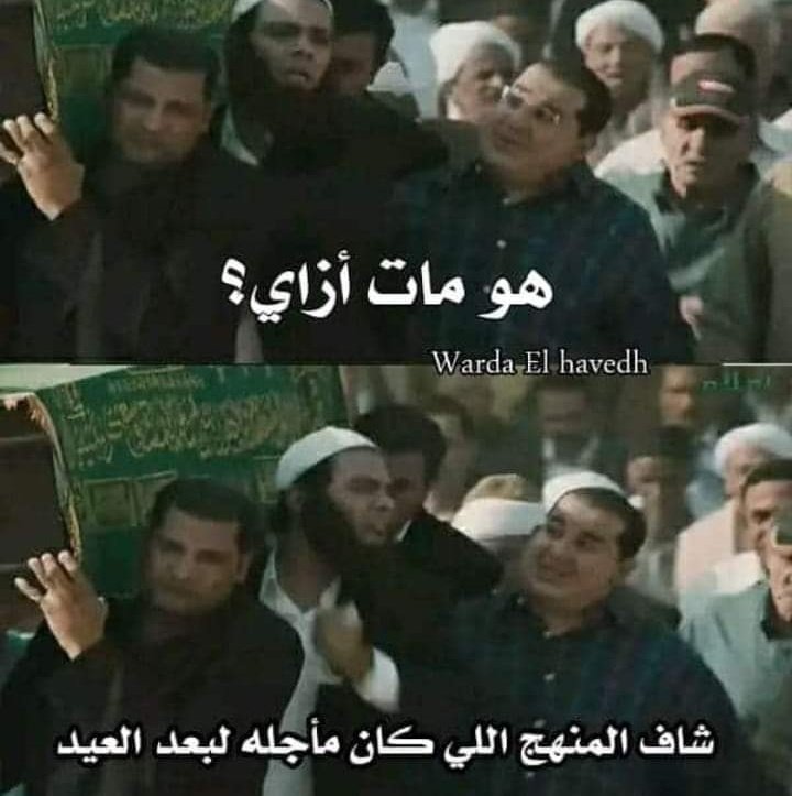 True Memes (@truememes_) on Twitter photo 