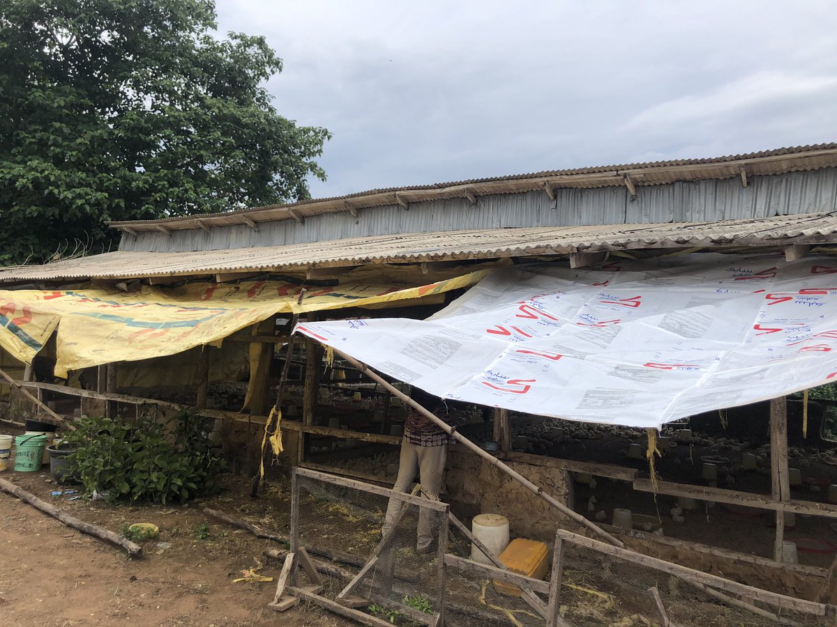 Ayoka Farms LTD tweet media