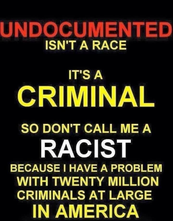 DixieReLoadz's tweet photo. 🇺🇸PATRIOTS🇺🇸
#EvictALLTheILLEGALS
⭐️⭐️⭐️⭐️
@DixieReLoadz 
@aliast6469 
@PurgeRebel 
@Kqueen80821100 
@RuBQ_11 
@JimMaga777 
@LesterGarrison9 
@Dalethfc 
@ChiefMojo1 
@Radmom32 
@5fingerssuck 
@myplanb78 
@DonOrange80 
@PCsnot 
@BudenisaPedo 
@jjclaassen65 
@gray13F 
@kevbauer22 https://t.co/cL2gqhvhJn