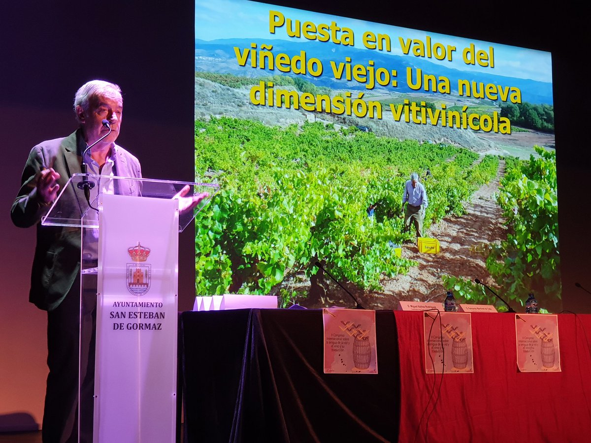 Ayto_SEG's tweet photo. Fernando Martínez de Toda, Catedrático de Viticultura de @unirioja habla sobre la Puesta en valor del viñedo viejo en el V Congreso Internacional sobre la lengua de la vid y el vino organizado por @GIRTraduvino y que se desarrolla hoy en San Esteban de Gormaz. #VCILVVT https://t.co/kDMQE69MPE