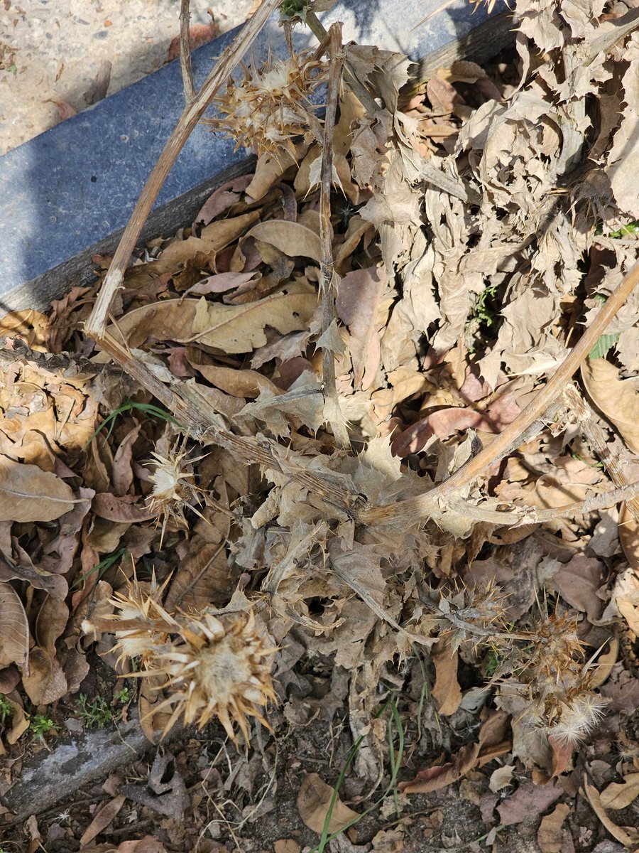 asimnyazee's tweet image. How we look at things 🔥
VS
How actually things are!

Lesson ⭐ An excellent presentation can make even ordinary objects look extraordinary, while a poorly presented object can make even the most extraordinary things appear ordinary. #presentationmatters #impactfulcommunication