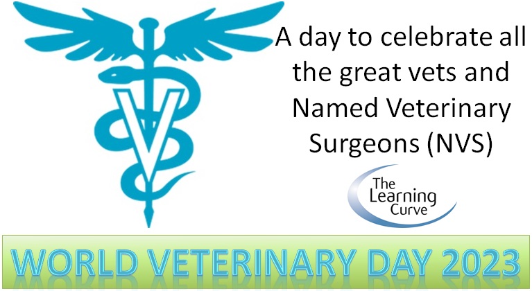 TLC_Development's tweet photo. Thanks to all the great vets we've had the pleasure of working with, and the many more we hope to in the future! https://t.co/SeB0q229J6
