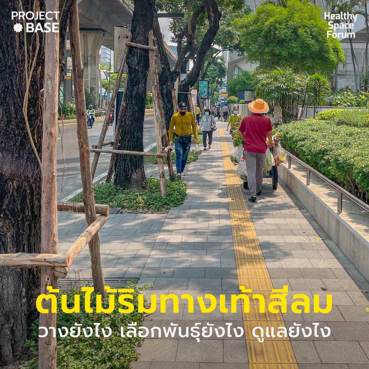 HSFbyForum's tweet photo. แด่ feel like 40 องศา ☀️ ในวันที่อากาศร้อนสุดๆ แบบนี้ การจะทำให้เดินแล้วรู้สึกสบายขึ้นและไม่ร้อนจนเกินไปนัก คือการมีร่มเงาต่อเนื่องบนทางเท้า วันนี้เราพามาดูกันว่าต้นไม้ริมทางเท้าวางยังไง เลือกพันธุ์ยังไง และรักษาดูแลยังไงผ่านตัวอย่างต้นไม้ริมทางเท้าสีลมกัน https://t.co/Y3LoqG5eYL