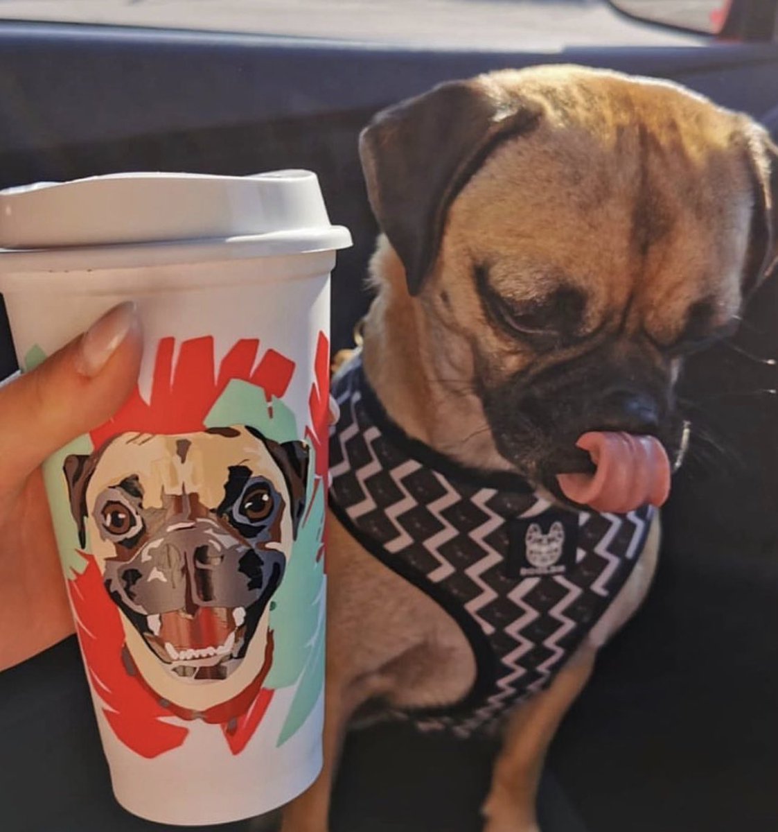 Jango Wears Illustrations tweet media