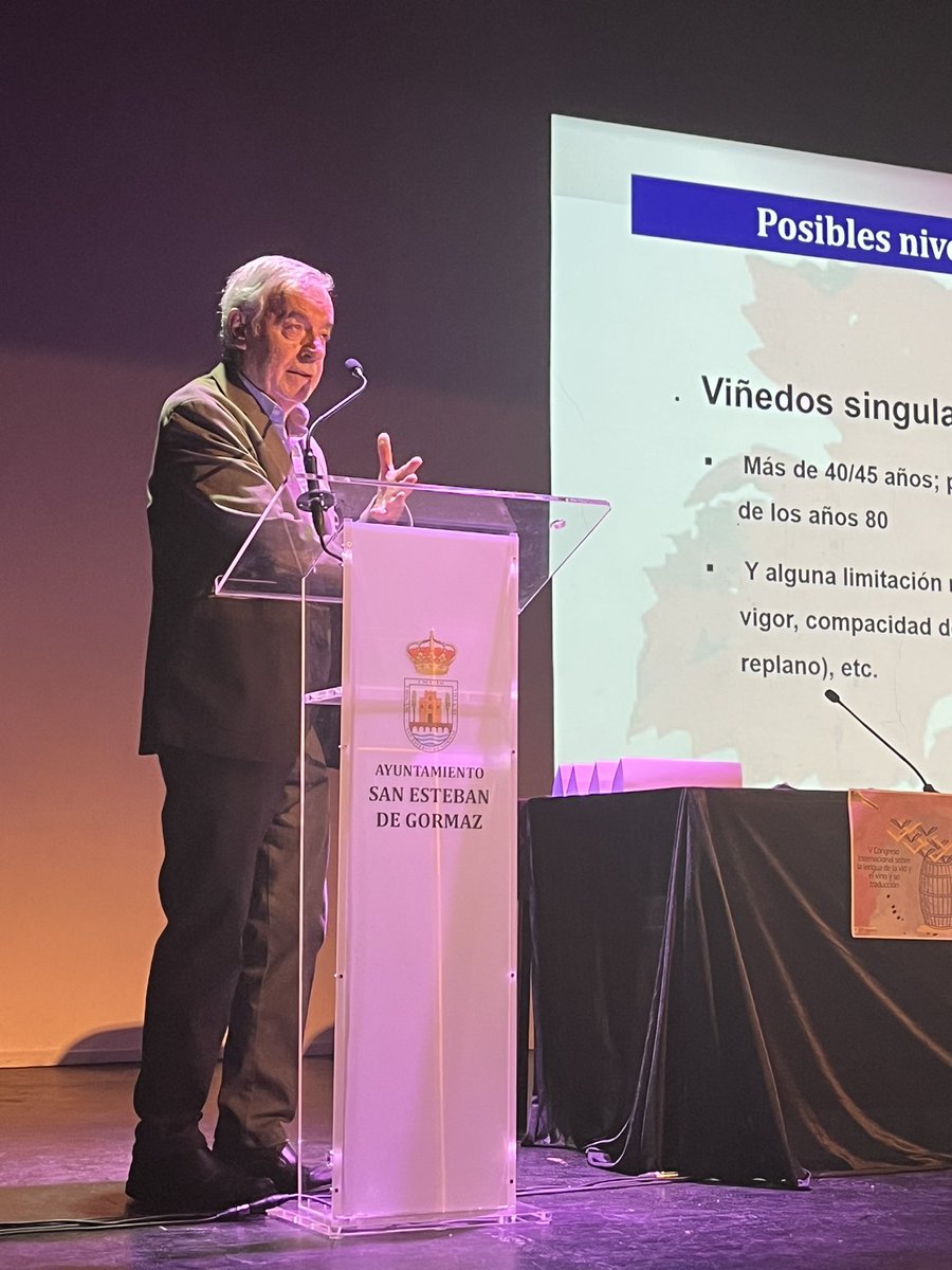 GIRTraduvino's tweet photo. ¿Conocéis las particularidades del viñedo viejo? Fernando Martínez de Toda nos ilustra en San Esteban de Gormaz🤩
@Ayto_SEG
#VCILVVT https://t.co/CIePsnv69j