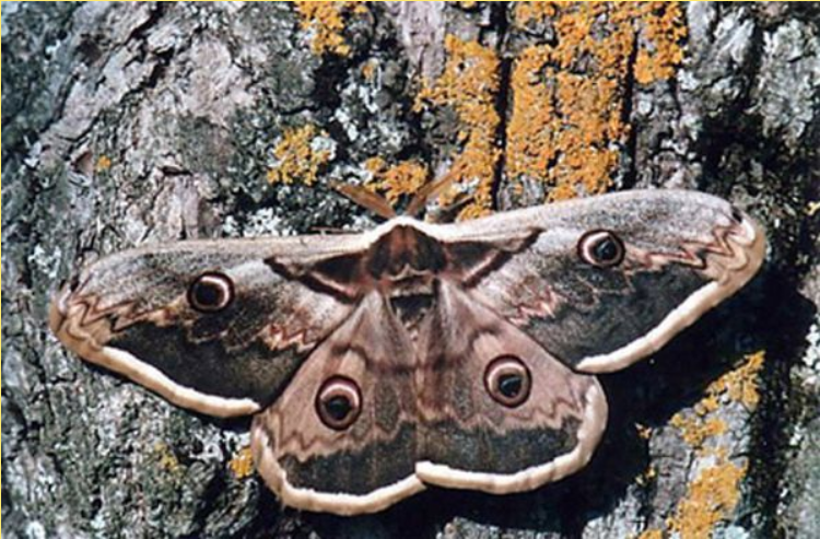 RegardFC, forum des radios culturelles depuis 2009 tweet media