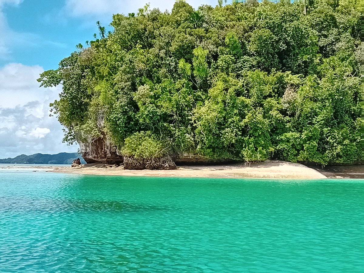 It was a great experience working and enjoying the beautiful Palau with you my friends!! Thanks🤩 @agoremix @rmetalpa @houlbrequefanny <a href="/ravasi_lab/">Ravasi's Lab</a> <a href="/JDReimer/">James Davis Reimer</a> <a href="/cattancarlo/">Carlo Cattano</a> <a href="/icona_research/">ICONA</a>