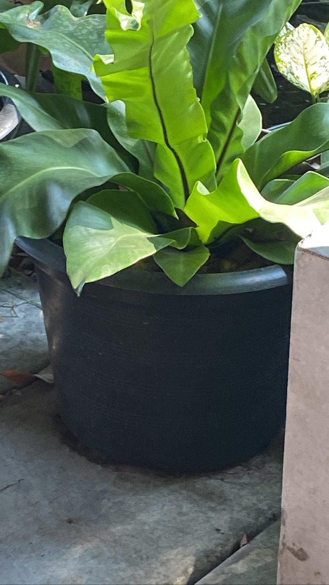 stories #MarminkCGM48 #CGM48_stories 

stories.bnk48scouter.com/marmink.cgm48o…

Sat Apr 29 16:03:26 2023