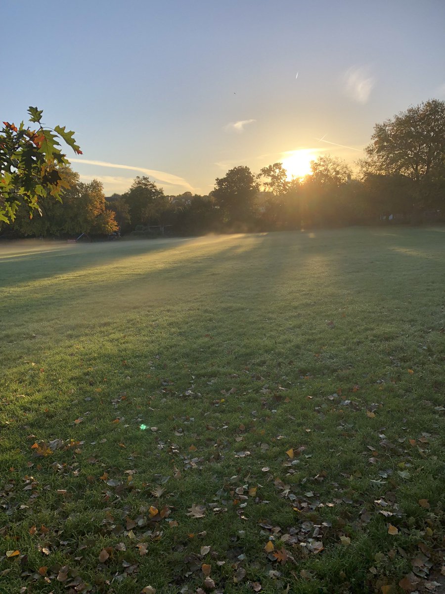 I’ve heard multiple reports of dogs getting sick (poisoned) after eating food found in #KilburnGrangePark 🐶😞 

If you’re in the #WestHampstead or #Kilburn #NW6 area be extra vigilant if you take your dog to the park

#dogsoftwitter