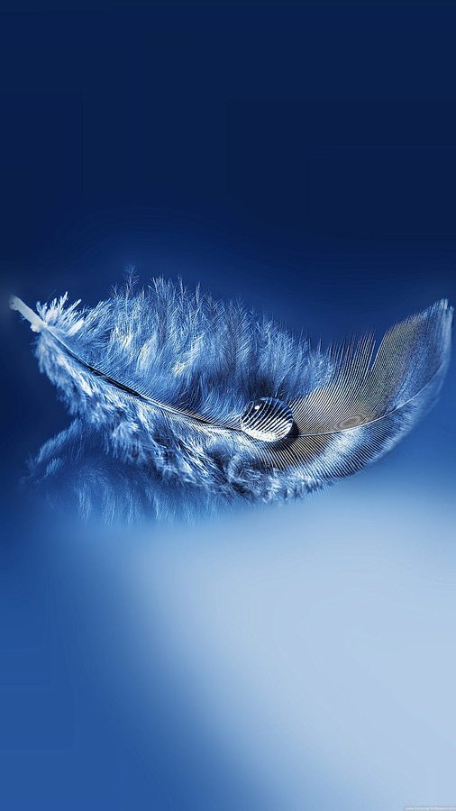 ctgbiz's tweet photo. If anything is worth doing do it with all your heart.💙 https://t.co/vliKq9XfjA
