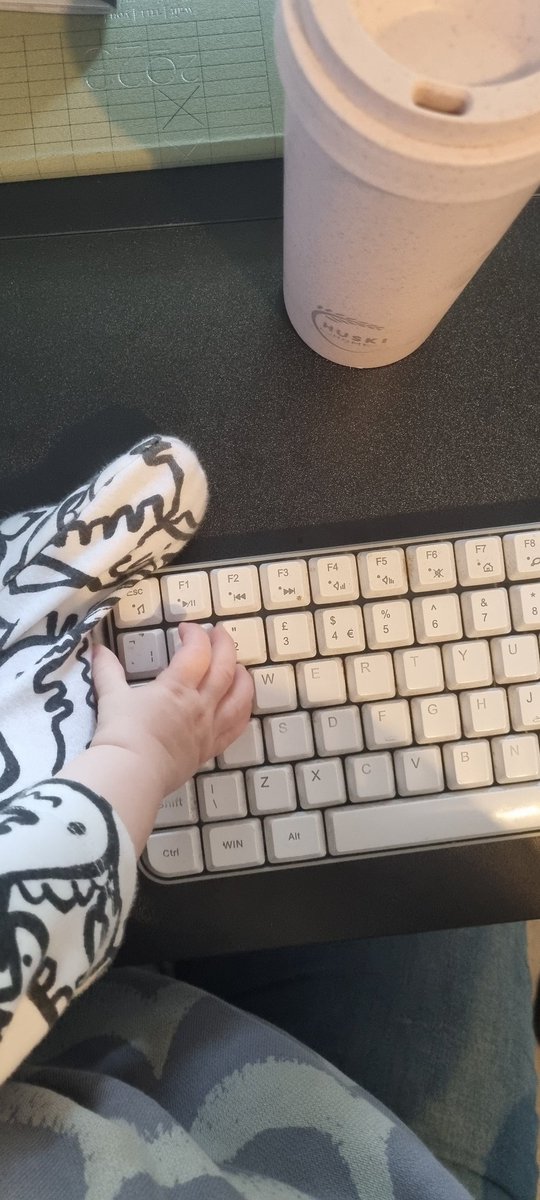 ZoePickburn's tweet photo. Lol @ me thinking I would get any work done when my husband was supposed to be watching the baby this morning https://t.co/WKgZx5cpII