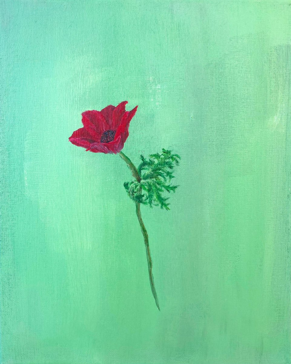 桜も終わり、藤棚の下がずいぶんと賑やかになりました。相変わらず私の周りの時間はゆっくりみたいです。みなさま、良いゴールデンウィークを！