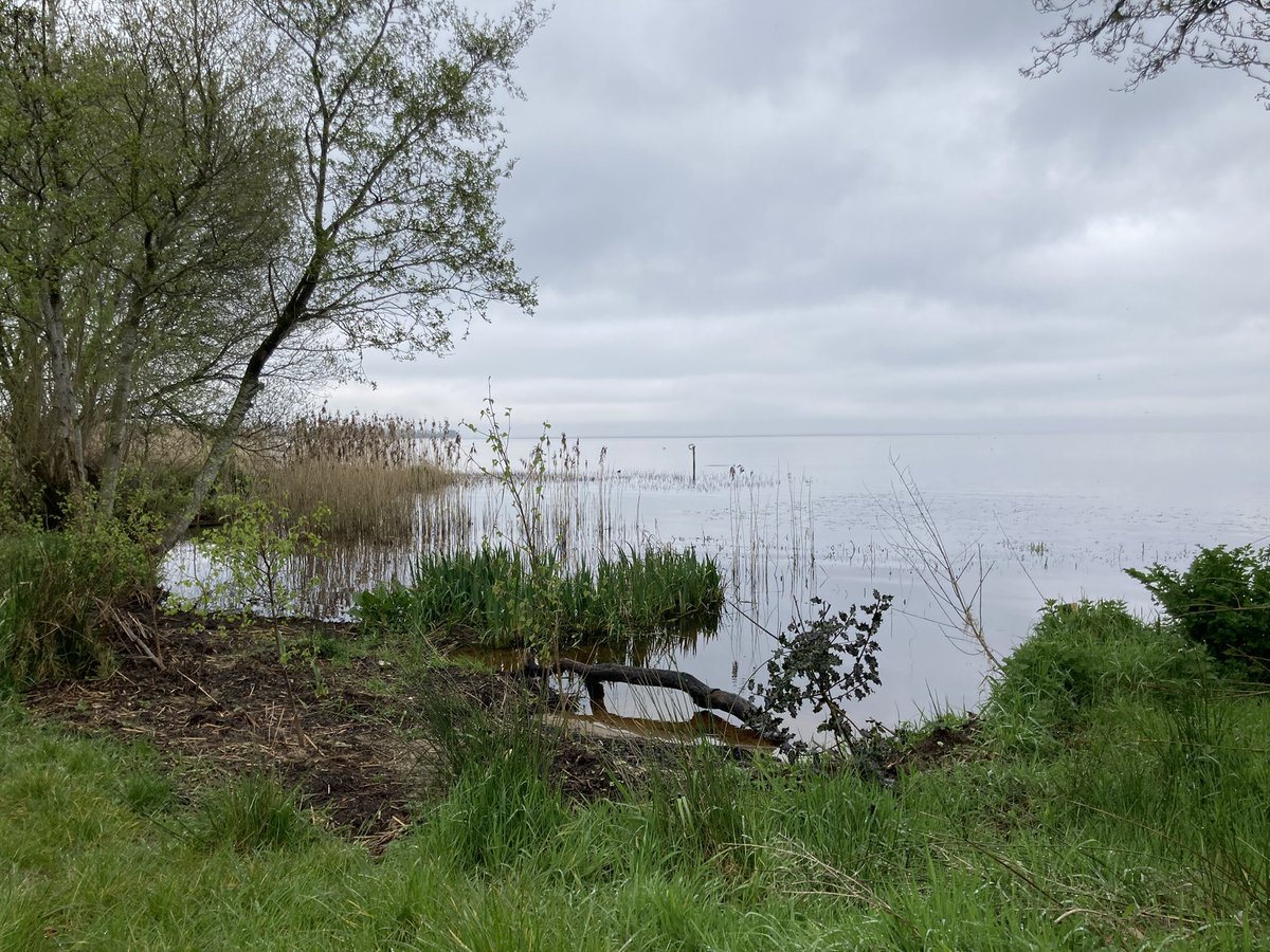 LoveOurLough's tweet photo. Washing Bay in Tyrone, a beautiful treasure of a place. Known as the Ganges of Ireland because it is a site people visited for healing. 💚
#WashingBay #LoveOurLough #LoveLoughNeagh #redrags #healing #peace #tyrone #love https://t.co/UzBl19yftJ