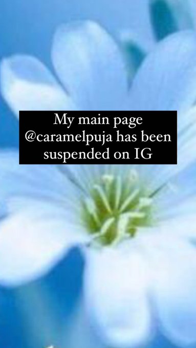Thankyou very much IG 🤮 https://t.co/nZAa3MGvyP<a href="/tag/blocked"class="tags"><span>#blocked</span></a><a href="/tag/goodbye"class="tags"><span>#goodbye</span></a>