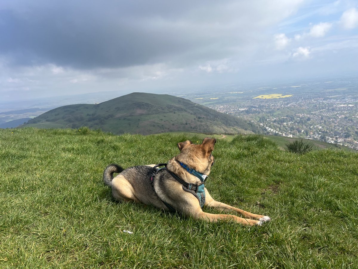 JosieAllan4's tweet photo. #MagicHill #MagicHill Malvern magic. 🌟💫🏆👍 https://t.co/XtiCSqayum