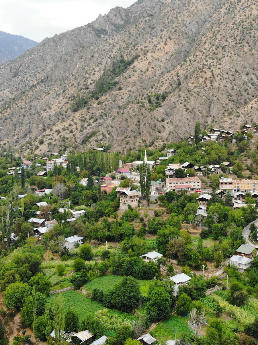 📸 Çamlıkaya Köyü
📌 İspir, Erzurum