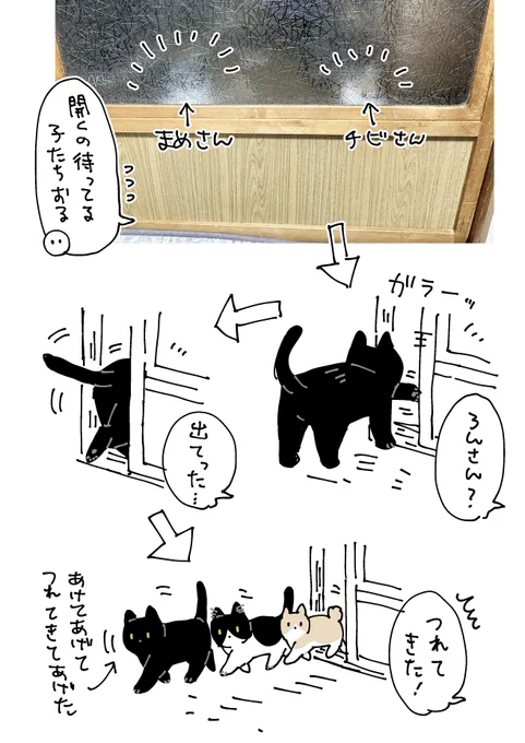 ろんさん、ちゃんと優しい先輩ネコしててエラーイ!てなる日々