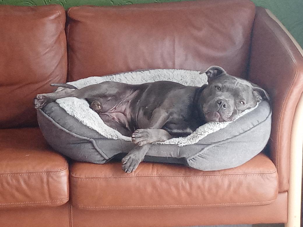 Tom Giddings tweet media