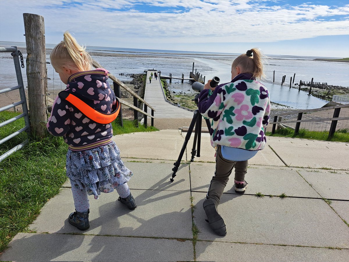 LCSEA's tweet photo. Bij de #cocksdorp #texel is sindskort een nieuw informatiepunt in het gemaalhuisje en deze week bemand door @Heleenverduijn en haar man. Leuk, eindelijk live kennisgemaakt! Wat een enthousiasme en lieve uitleg vd kids 💚 🪿🦀🕷🐞🦭🪶 https://t.co/0FKPKQsAzF