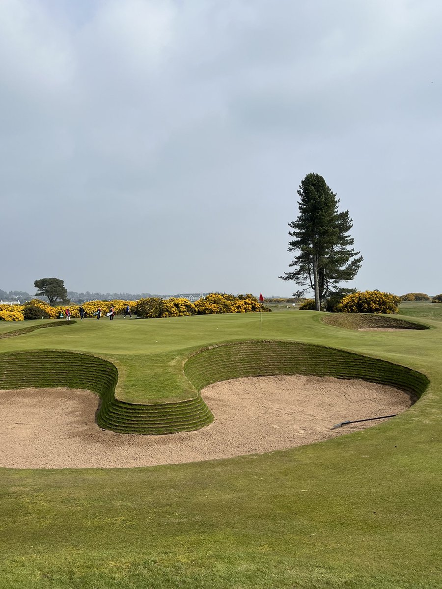 NGGolfDXB's tweet photo. Fun day out on the links yesterday. @carnoustiegolf in great condition. https://t.co/6oA0J15opy