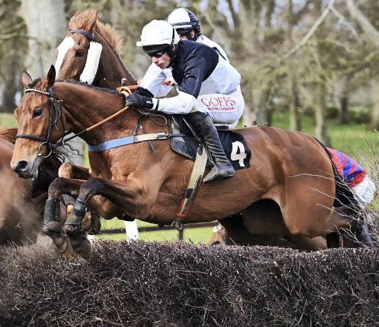 Not only have <a href="/LoughanmoreF/">Loughanmore Racing</a> produced Tullyhill and Ballyburn this season but also these three crackers 😊
Jeriko Du Reponet,Kerryhill and Native Hill @RBDMcr <a href="/RoadCheltenham/">Road To Cheltenham</a>
