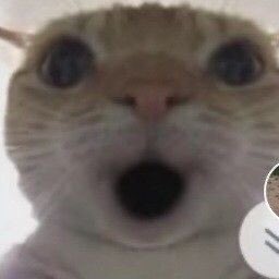 jumpsnsets's tweet photo. HIIII TL https://t.co/f1pGelyinj
