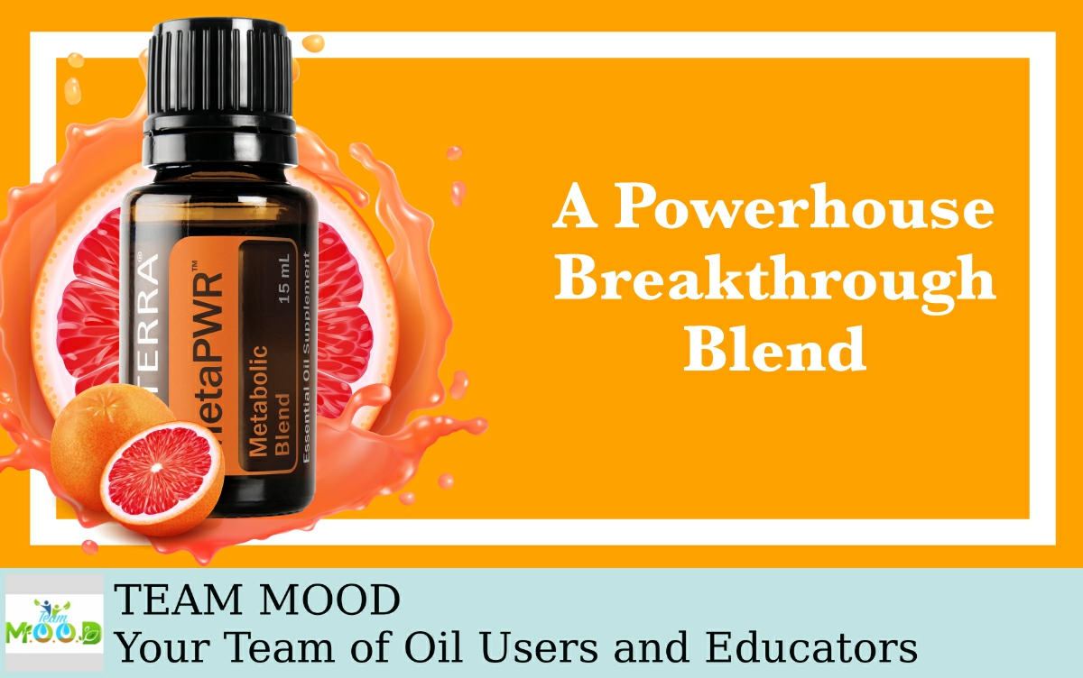 MooreOiled's tweet photo. The MetaPWR Metabolic Blend is a proprietary balanced ratio of CPTG Grapefruit, Lemon, Peppermint, Ginger, and Cinnamon Bark essential oils. Watch this to learn more: https://t.co/16esXkvxr2 https://t.co/kKoXt0h3JW