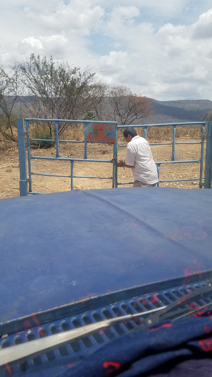 Feliz sábado 29 de abril 2023 desde la FC PANTANAL Edo Guárico nos estamos preparando para la siembra de ajonjoli.por nuestra zona geográfica en tiempos de invierno nos favorece sembrar este rubro.pronto les mostraremos a nuestra patria como vamos con sacrificio fe y constancia.