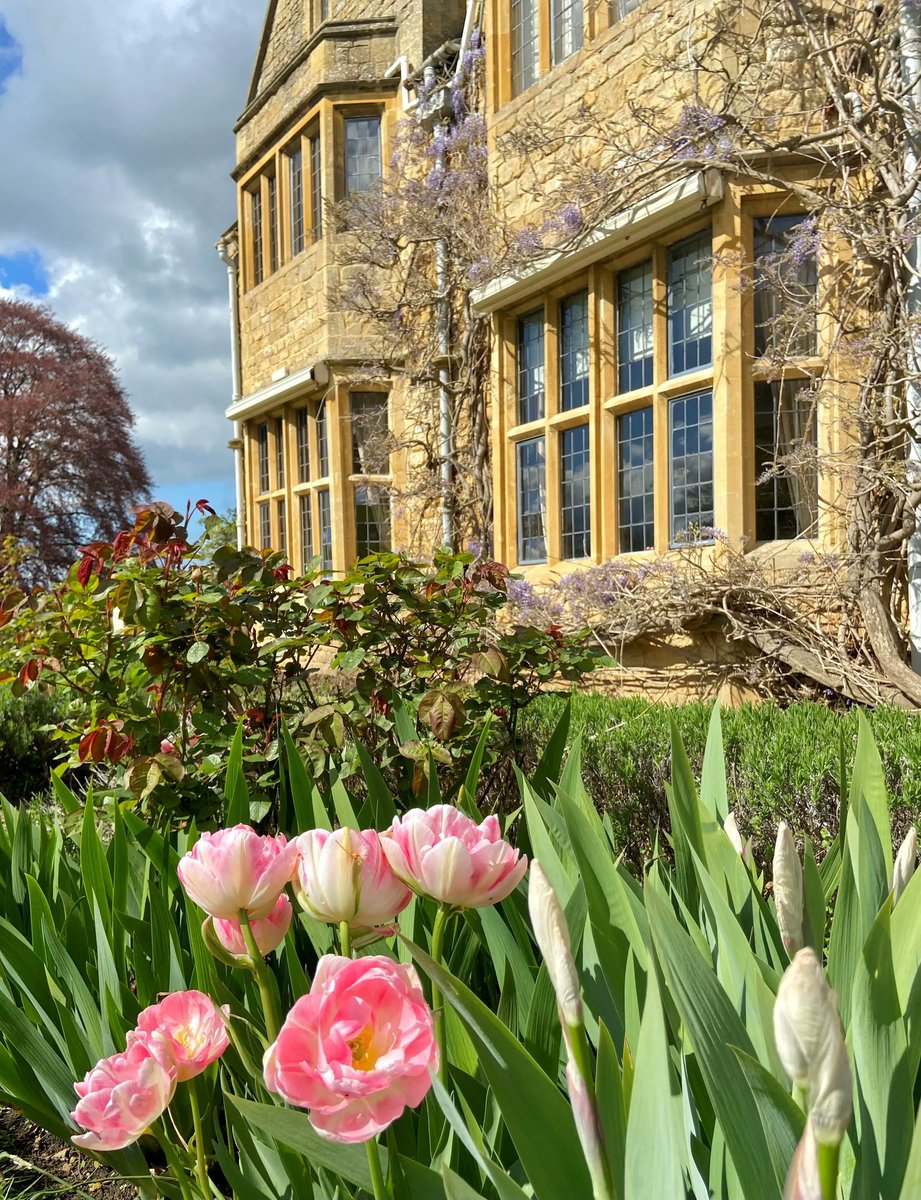 Buckland Manor tweet media