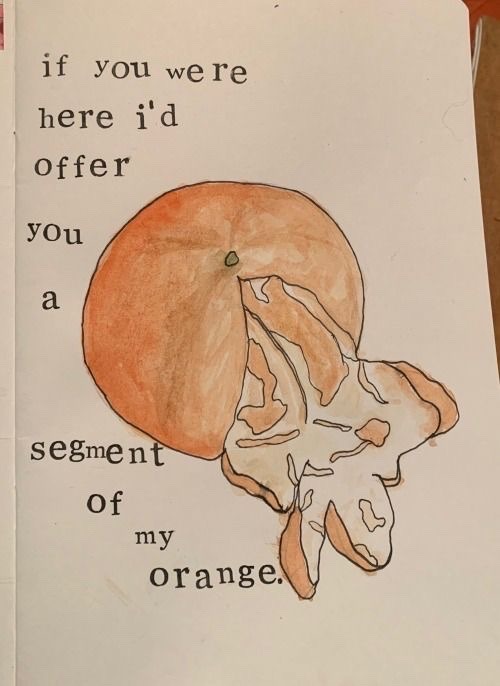 the concept of oranges being designed to be shared is something that has fascinated me recently