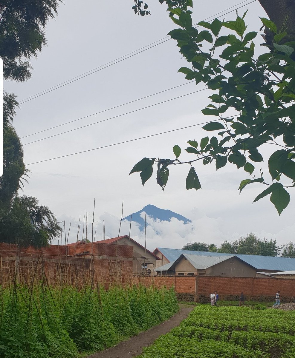 P_Karangwa's tweet photo. Currently in Kinigi @MusanzeDistrict 
Awesome view of cloud-surounded Muhabura volcano &amp; other volcanoes!

So rainy these days; rain-caused disasters risk high! Farmers reminded to join the agriculture insurance program - it is Govt subsidized; and increase control of erosion! https://t.co/7HawuIWqfY
