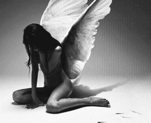 divyhell's tweet image. 