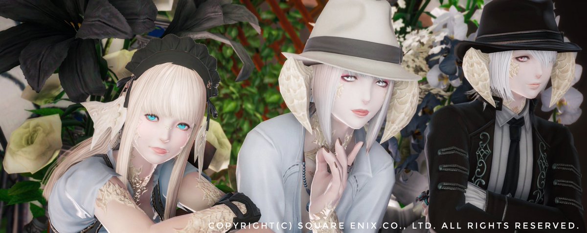 yuuki_wm's tweet photo. ☾𓂃 𓈒𓏸ɢᵒᵒᵈ ɴⁱᵍʰᵗ *☪︎。✩.*˚
#studio_LiFrame #本日のアウラ https://t.co/I8RbjSLQOe