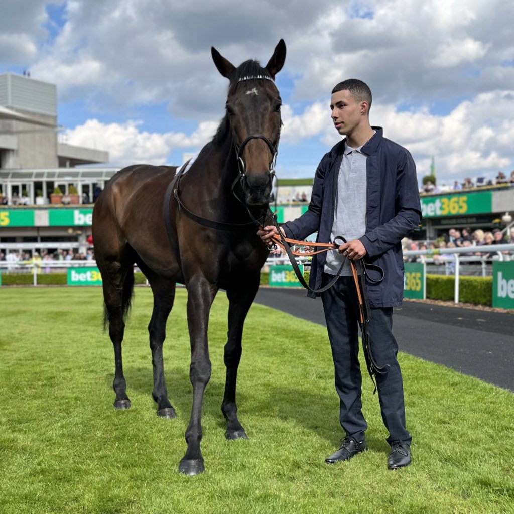 RacingPost's tweet photo. The Racing Post Jumps Horse Of The Year is - CONSTITUTION HILL 🤍🖤 https://t.co/Dh3v7arcRX