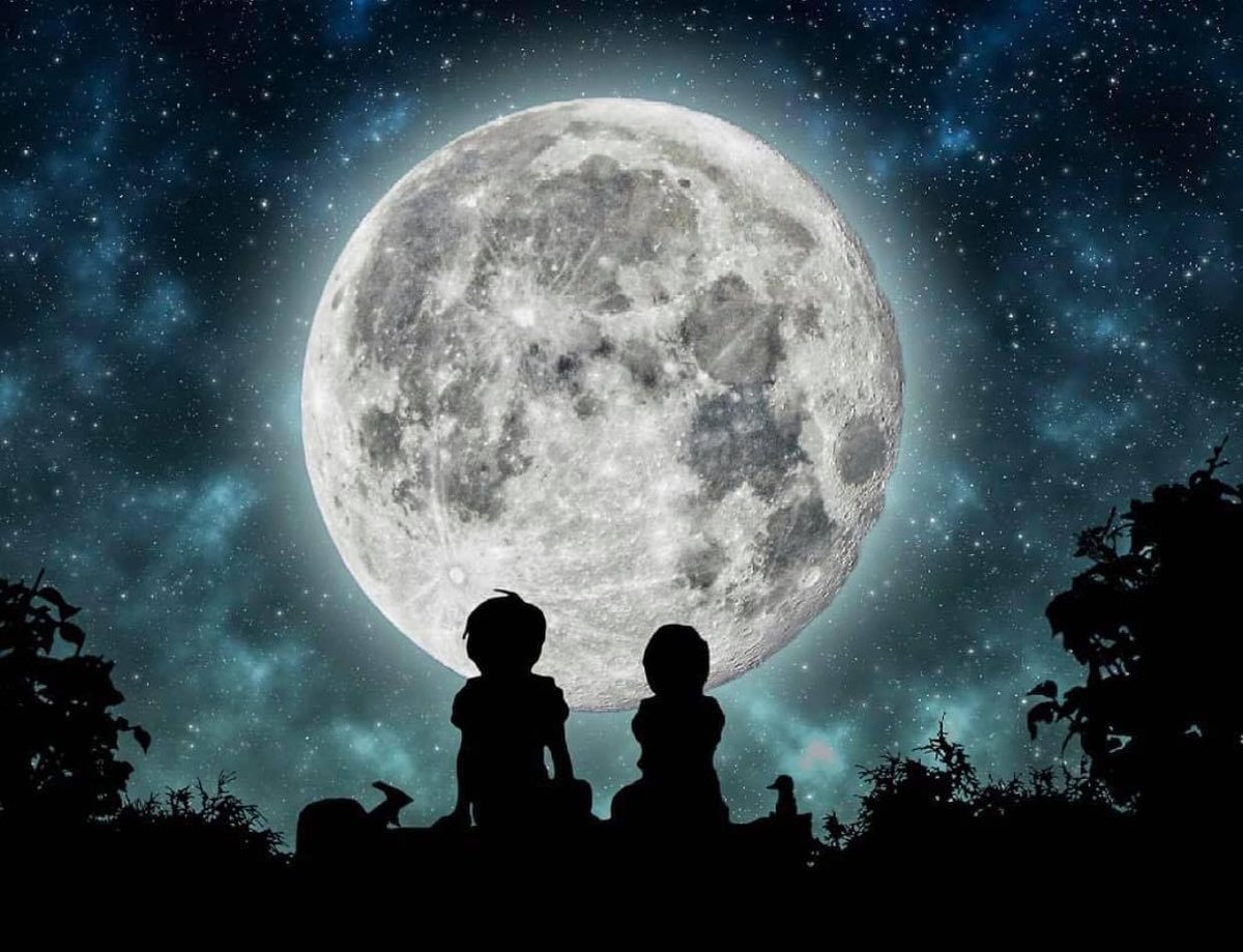 sofia_8815's tweet photo. أكثر ما يُهون علينا الطريق 
كتفاً لا يتخلى وسنداً لا يُفارق 
وقلباً لا نهون عليه
 وروحاً تشعر بنا دون أن نتكلم  🤍 https://t.co/9yfqBMH1R1