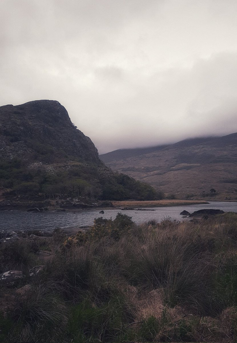 themellowing's tweet photo. Traveled through Moll's Gap for the first time in my life today and had some sort of spiritual experience 🤍 perfect melancholy https://t.co/uwOHQQqZ9E