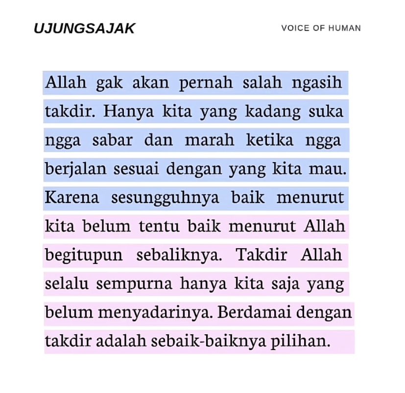 el 🇵🇸 tweet media