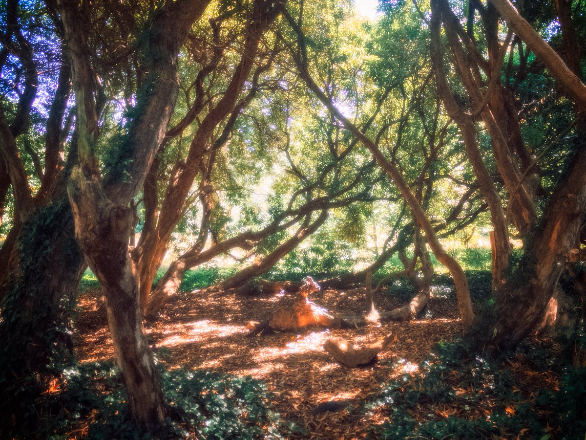 artofseanmurphy's tweet photo. A Wondrous Adventure https://t.co/ihjj2Lu9D1