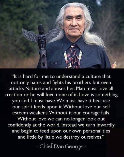 Indigenous28401's tweet photo. https://t.co/DaobJusqww