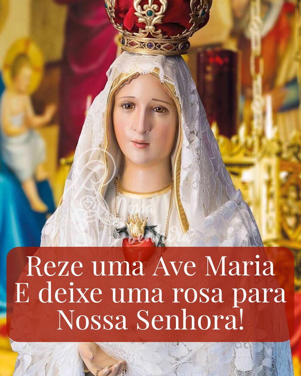 Nossa Senhora do Rosário tweet media