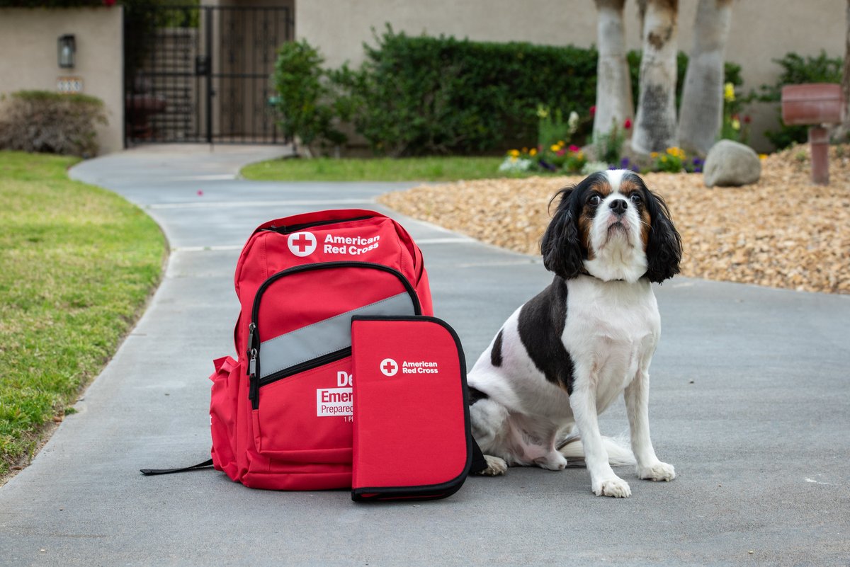 Red Cross Los Angeles tweet media