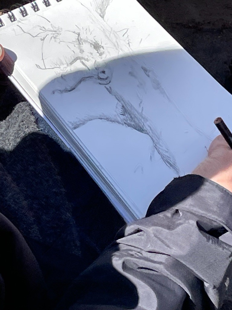 NYSUFC's tweet photo. Writing for the Trees: Drawing an Iconic New York City Tree. Jean Zimmerman shares her experience at a Tree Wonder gathering in Washington Square Park with the venerable English elm and WSP at large. https://t.co/7jHi1Y5PRo @WSPEcoProjects #englishelm #jeanzimmerman #wsp #nyc https://t.co/SC6IbbIeSG
