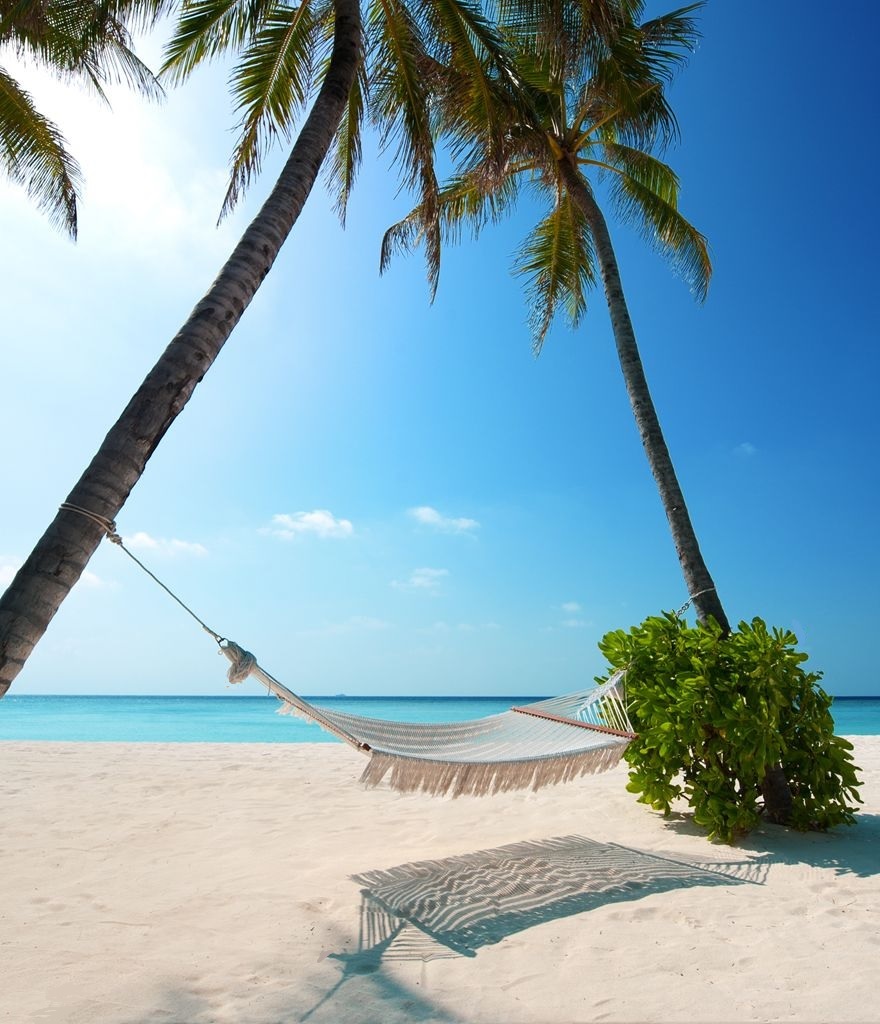Travitinerary's tweet photo. Gone to the beach🏖️ Be back never🌞 https://t.co/tk7wrFNIvp