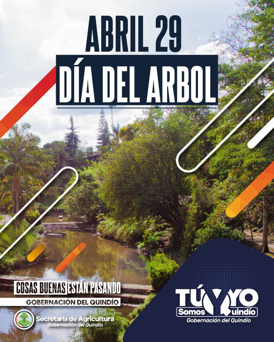 QuindioGob's tweet photo. Hoy celebramos el #DíadelÁrbol 🌳, una fecha para agradecerles y cuidarlos especialmente. ¡Ellos nos dan vida! 

¿Y si te unes a esta celebración y plantas hoy un árbol? 🤔🌳

¡Feliz día!

#TúyYoSomosQuindío https://t.co/lv530ezYJE